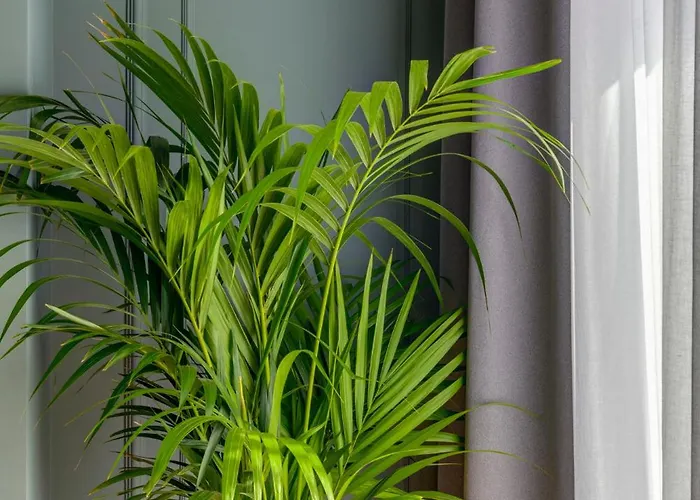 Cevill Loft דירה ארמופוליס